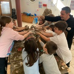 WhatsApp Image 2025-04-25 at 11.59.47 (7)